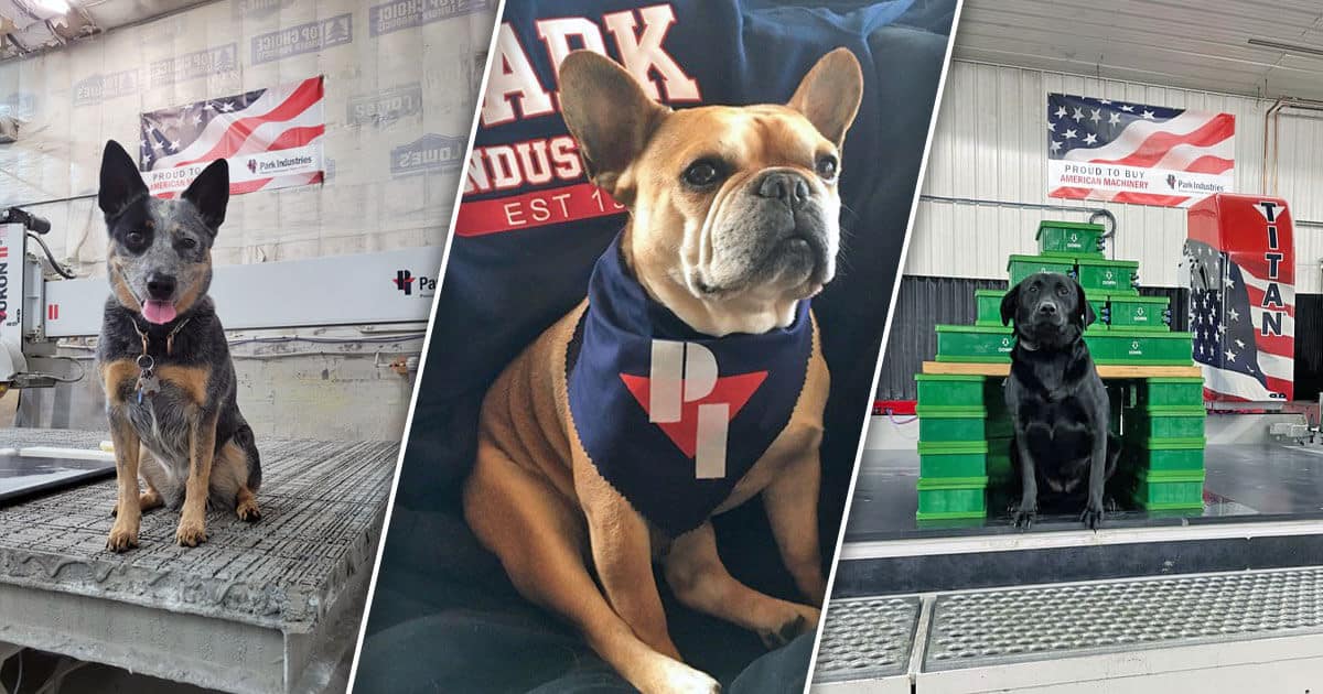 Park Industries Shop Dog Contest | Machinery for Stone Fabricators