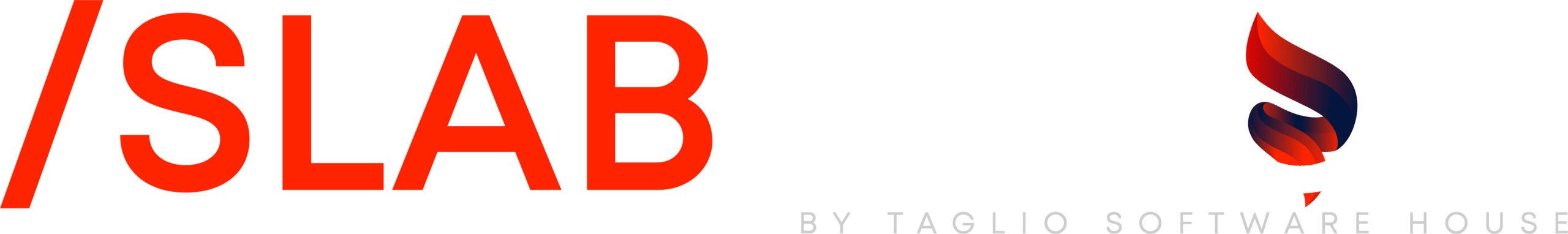 SlabVision Scanner White Logo